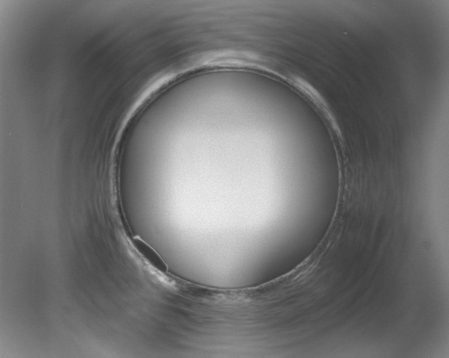 X0000082151384200701191012