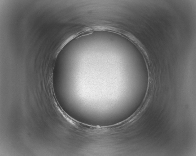 X0000082151385200701191012
