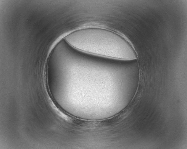 X0000082151387200701191012