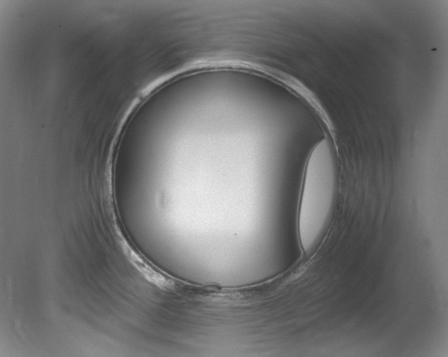 X0000082151388200701191012