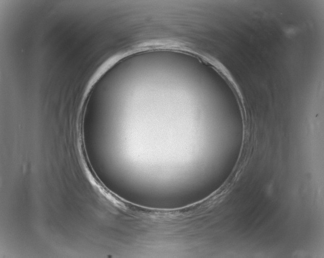 X0000082151389200701191012