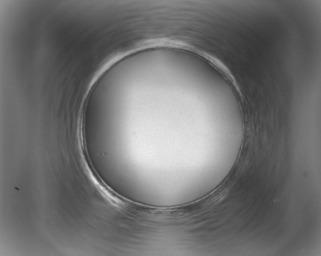 X0000082151391200701191012