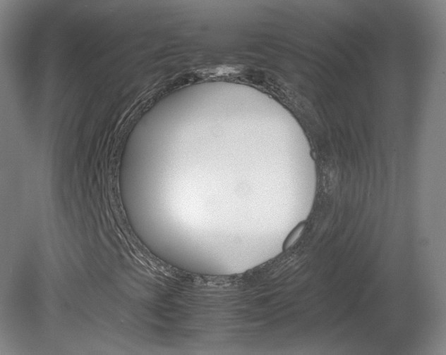 X0000082151393200701191011