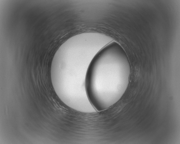 X0000082151394200701191011