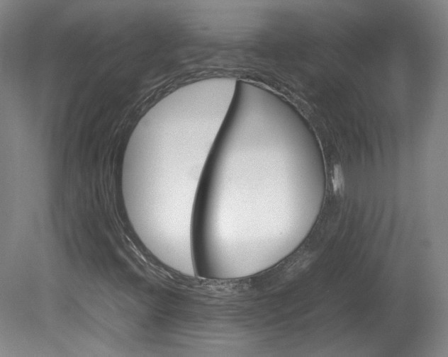 X0000082151396200701191011