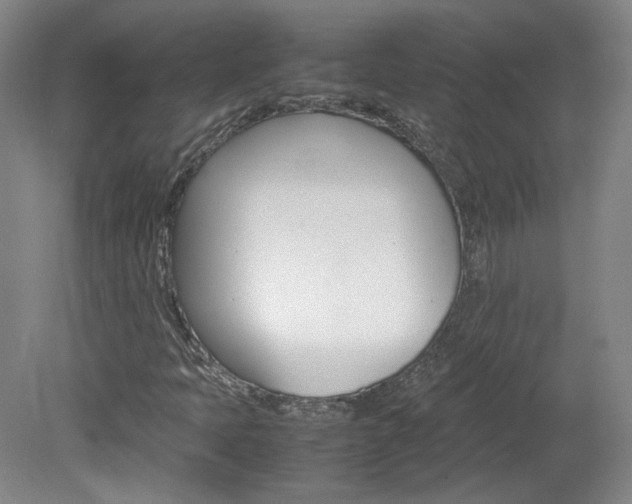 X0000082151397200701191011