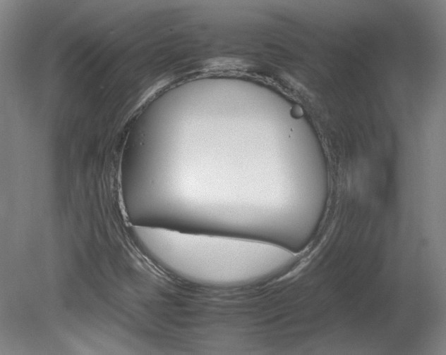 X0000082151401200701191011