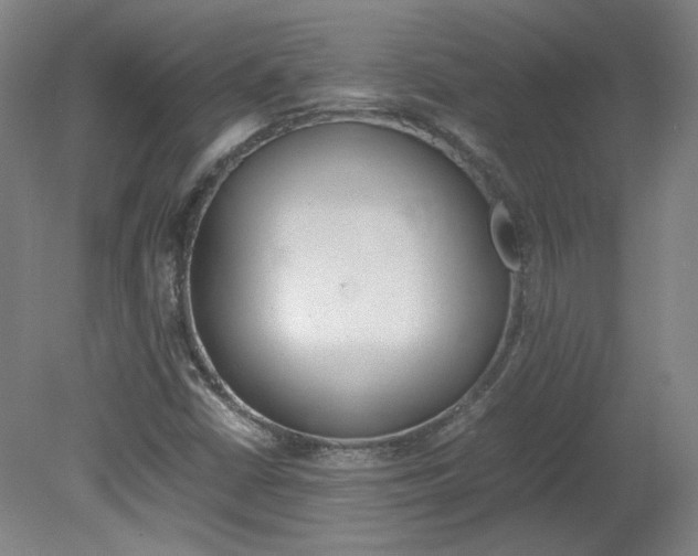 X0000082151402200701191011