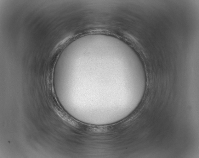 X0000082151403200701191011