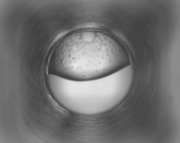 X0000082151404200701191011