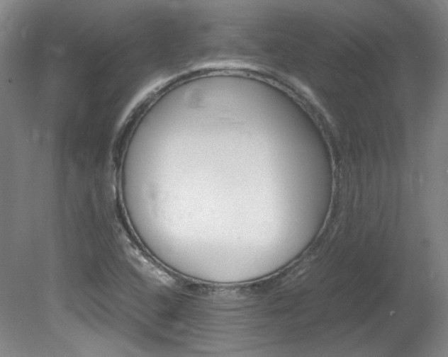 X0000082151408200701191012