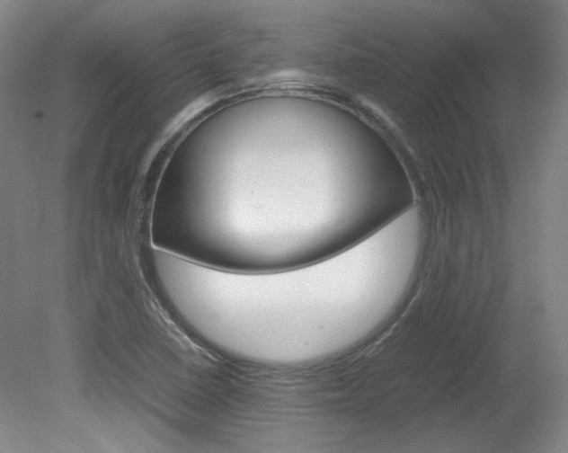 X0000082151410200701191012