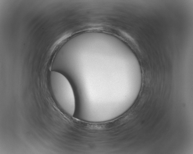 X0000082151411200701191012