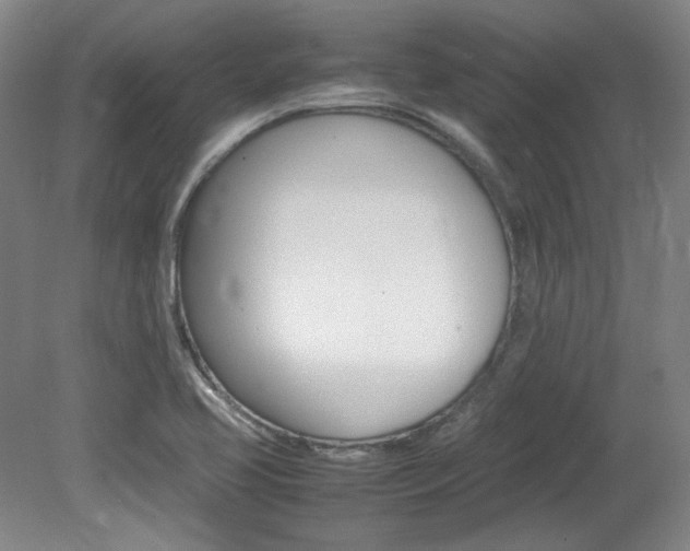 X0000082151413200701191012