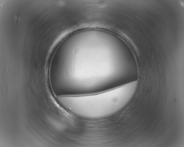 X0000082151416200701191012