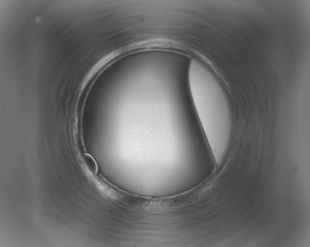 X0000082151418200701191012