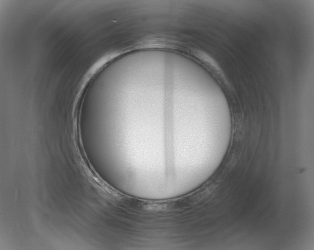 X0000082151419200701191012