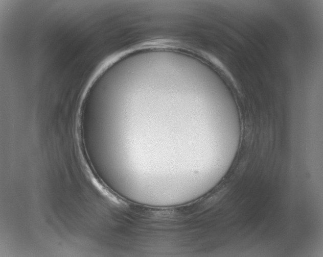 X0000082151421200701191012
