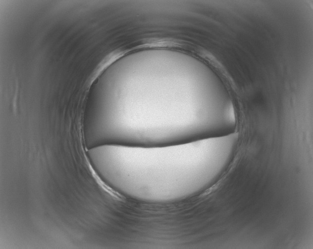 X0000082151425200701191012