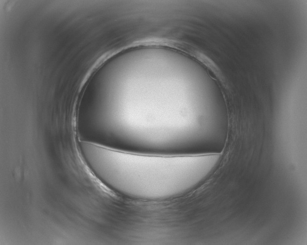 X0000082151428200701191012