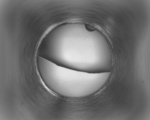 X0000082151429200701191012