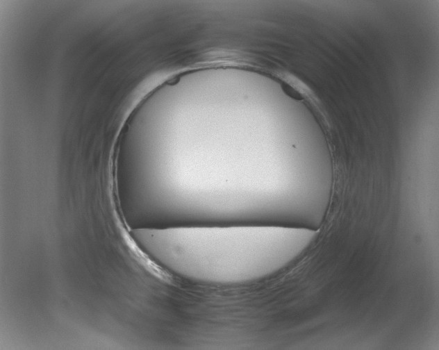 X0000082151431200701191012