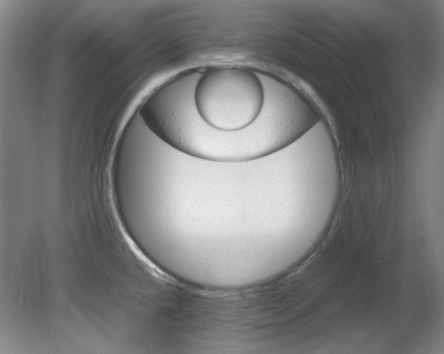 X0000082151432200701191012