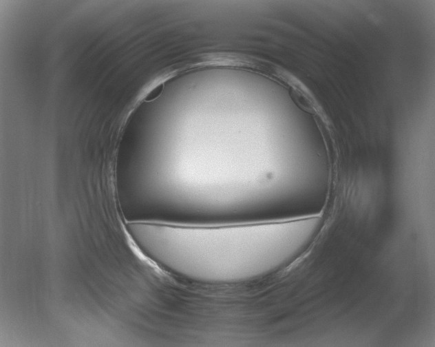 X0000082151433200701191012