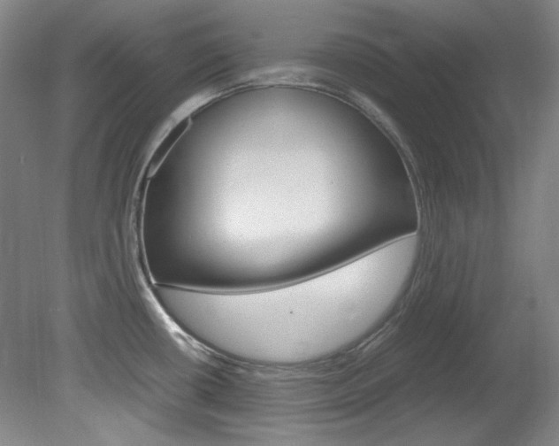 X0000082151434200701191012