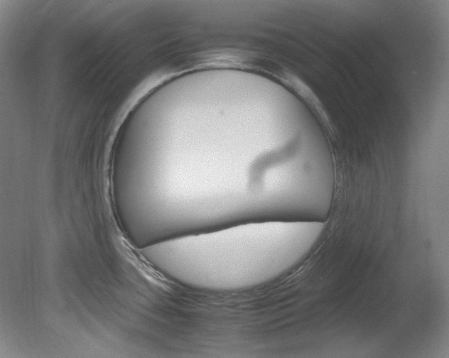 X0000082151435200701191012