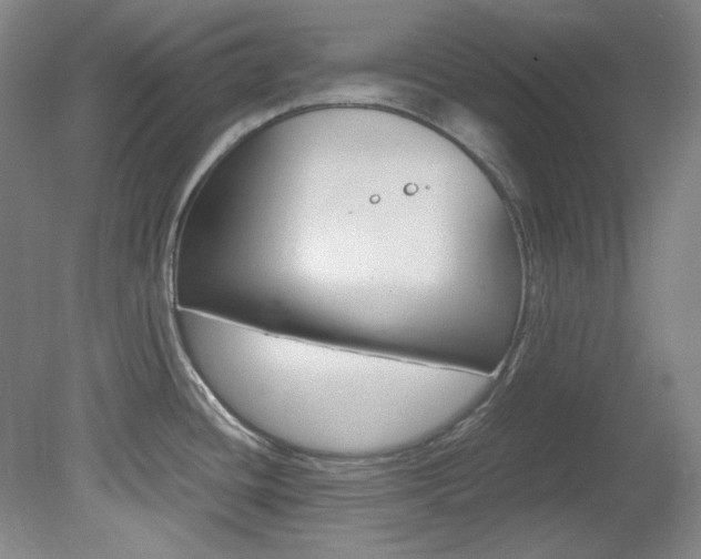 X0000082151436200701191012