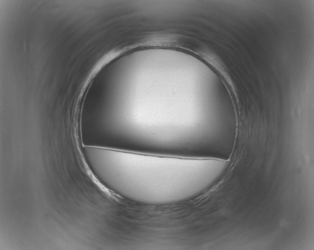 X0000082151437200701191012