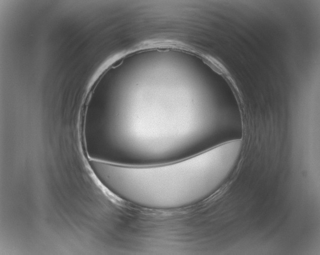 X0000082151438200701191012