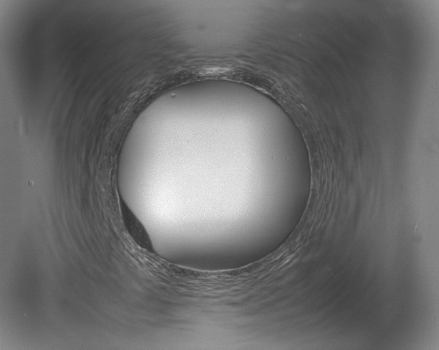 X0000082151441200701191011
