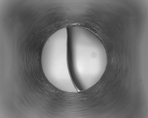X0000082151442200701191011