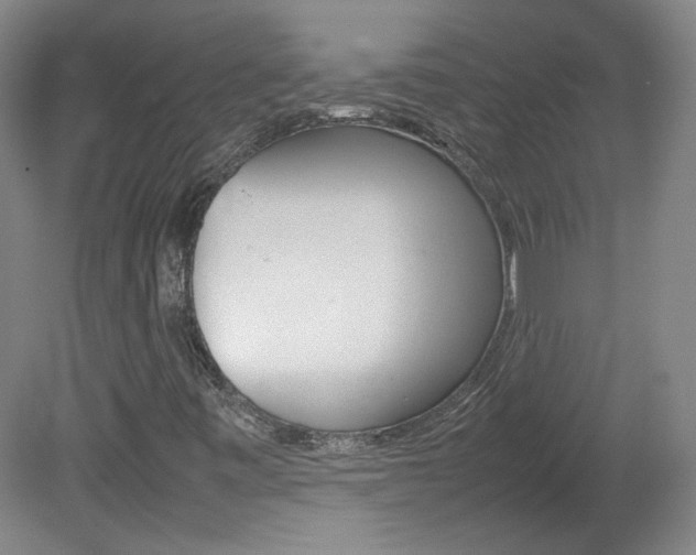 X0000082151443200701191011