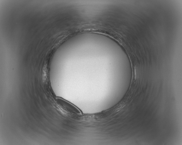 X0000082151444200701191011