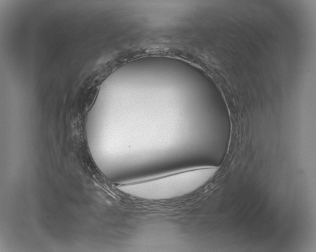 X0000082151445200701191011