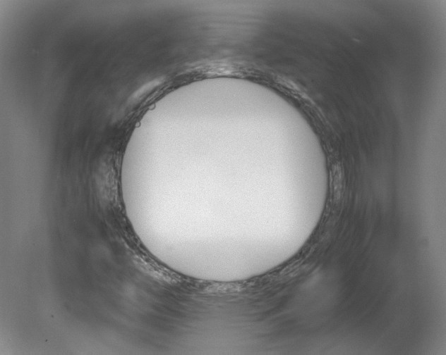 X0000082151446200701191011