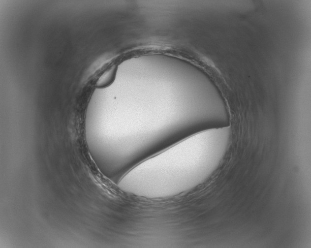 X0000082151448200701191011