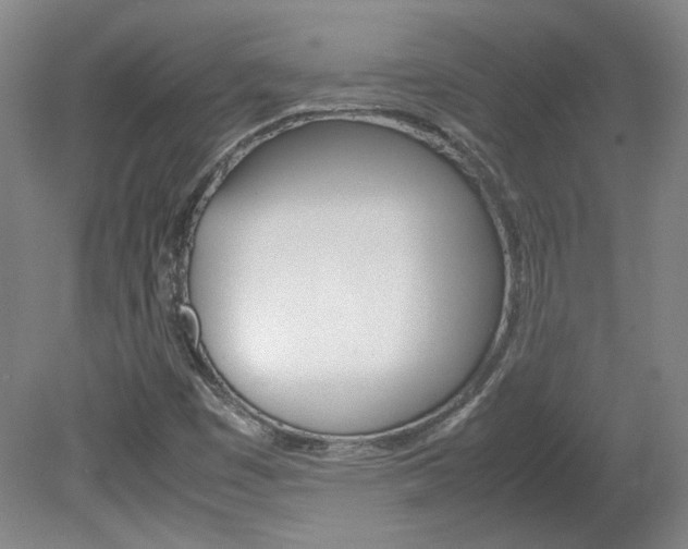 X0000082151449200701191011