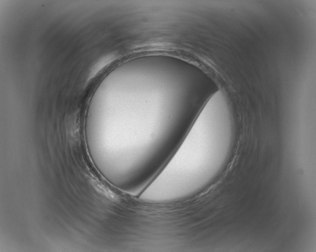 X0000082151450200701191011