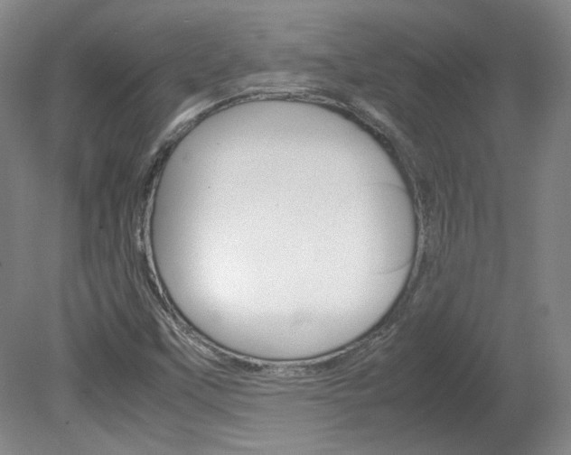 X0000082151451200701191011