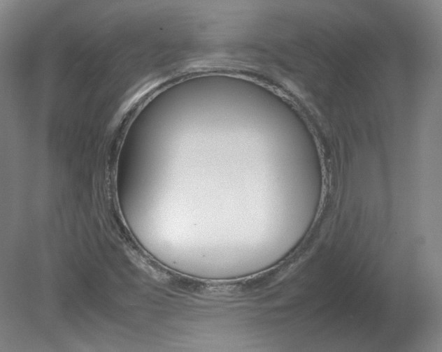 X0000082151453200701191011