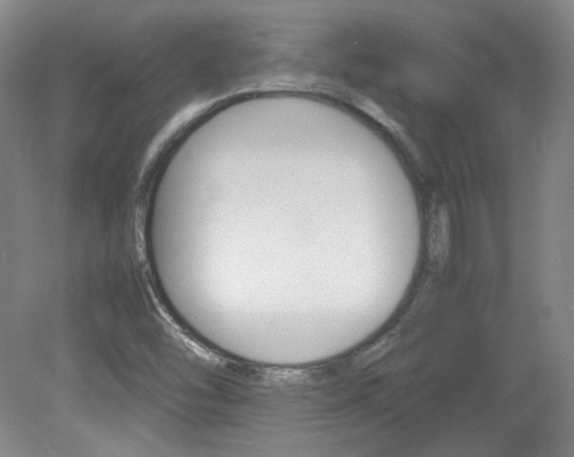 X0000082151454200701191011