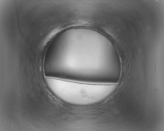 X0000082151455200701191011