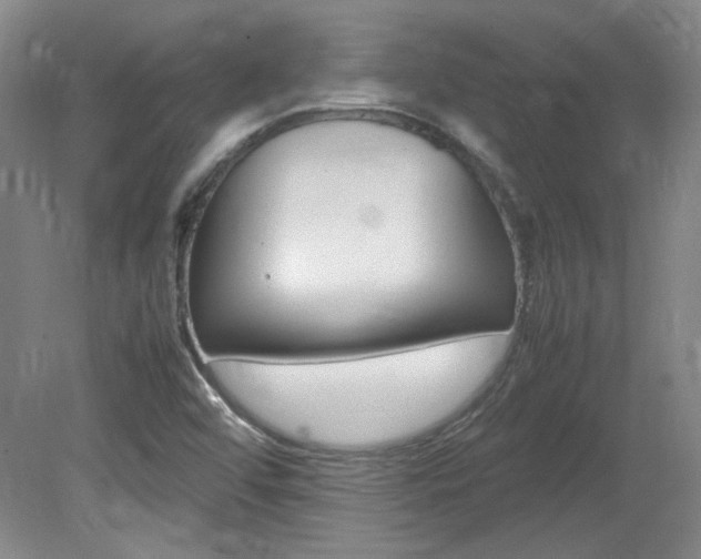 X0000082151456200701191011