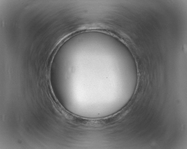X0000082151457200701191011