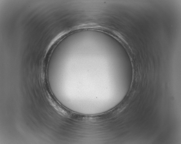 X0000082151458200701191011