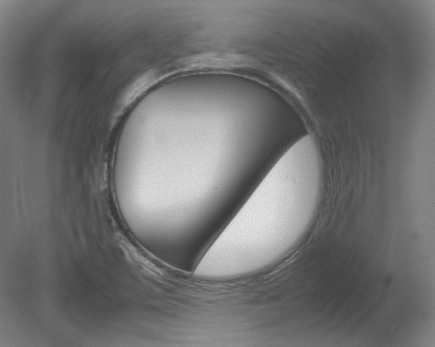 X0000082151459200701191011